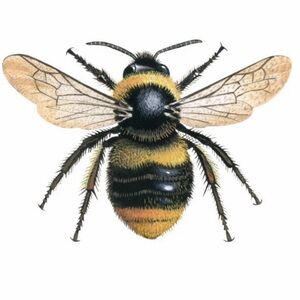 Meet your Posher, Brandi